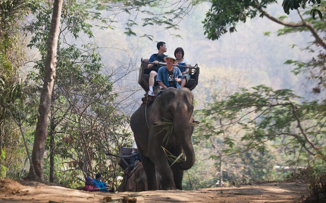 Costco Travel drops 'elephant rides' at request of PETA