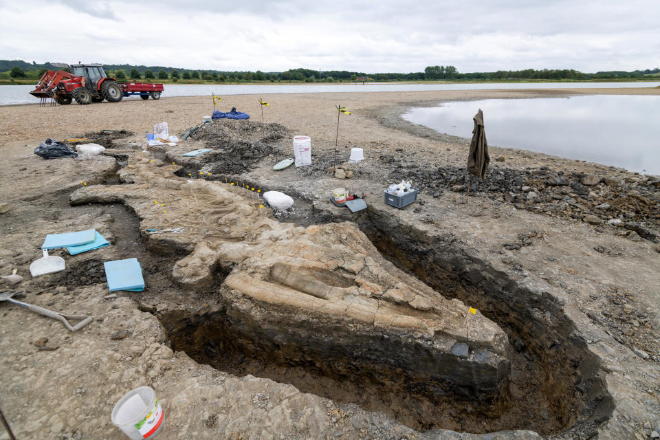 The remains of the ichthyosaur, estimated to be around 180 million years old. 
 (Matthew Power / Anglian Water)