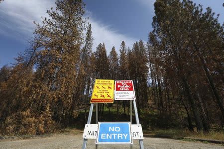 A sign along the Route 120 corridor inside the Stanislaus National Forest warning the public against entering parts of the forest damaged by the 2013 Rim Fire is seen in the Stanislaus National Forest in California May 30, 2014. REUTERS/Elijah Nouvelage