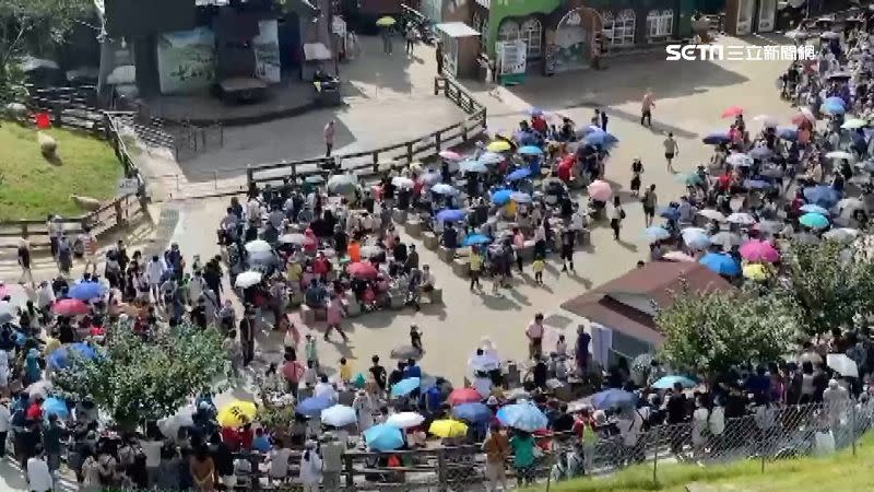 南投熱門景點今日一早湧進2000人次入園。