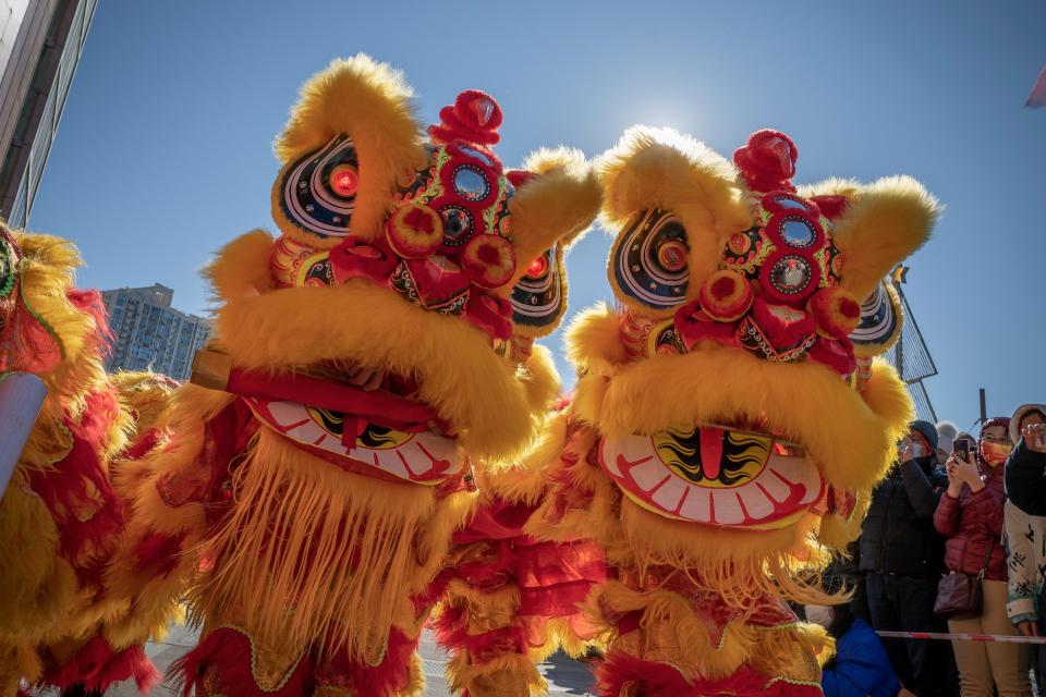 Lion dance is a traditional dance in Chinese and other cultures that is performed during Lunar New Year and cultural and religious festivals. Dancers mimic a lion's movements, and the performance is thought to bring good luck.