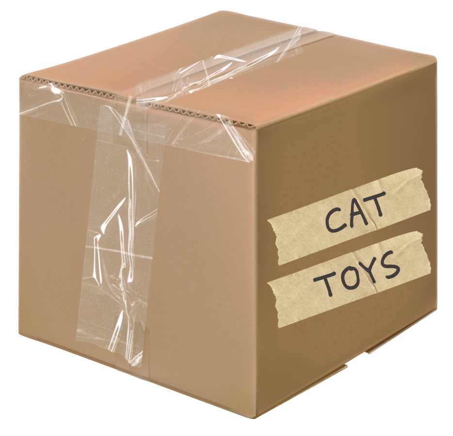 Cardboard box sealed with tape, labeled 'CAT TOYS'