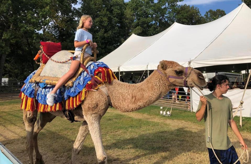 Allyson Wilkins of Petersburg, Va. rides a camel at the 2022 Chesterfield County Fair.