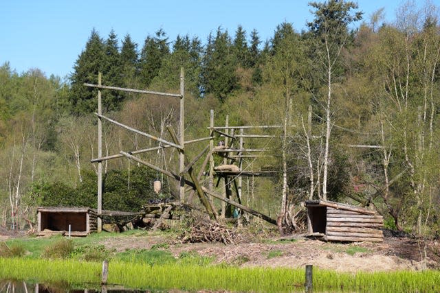 New chimpanzee at Blair Drummond