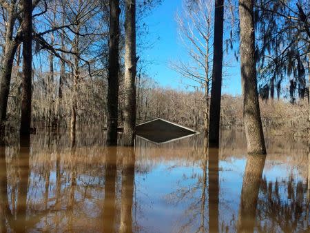 The top of the boathouse is all that shows in the flooded area of the Lake Bistineau community in Webster Parish Louisiana March 14, 2016. REUTERS/Therese Apel