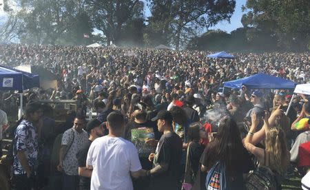 Thousands of marijuana enthusiasts gather on "Hippie Hill" in San Francisco's Golden Gate Park to light up joints, pipes and bongs in celebration of the annual but informal cannabis holiday, named 4/20 in San Francisco, California April 20, 2016. REUTERS/Curtis Skinner