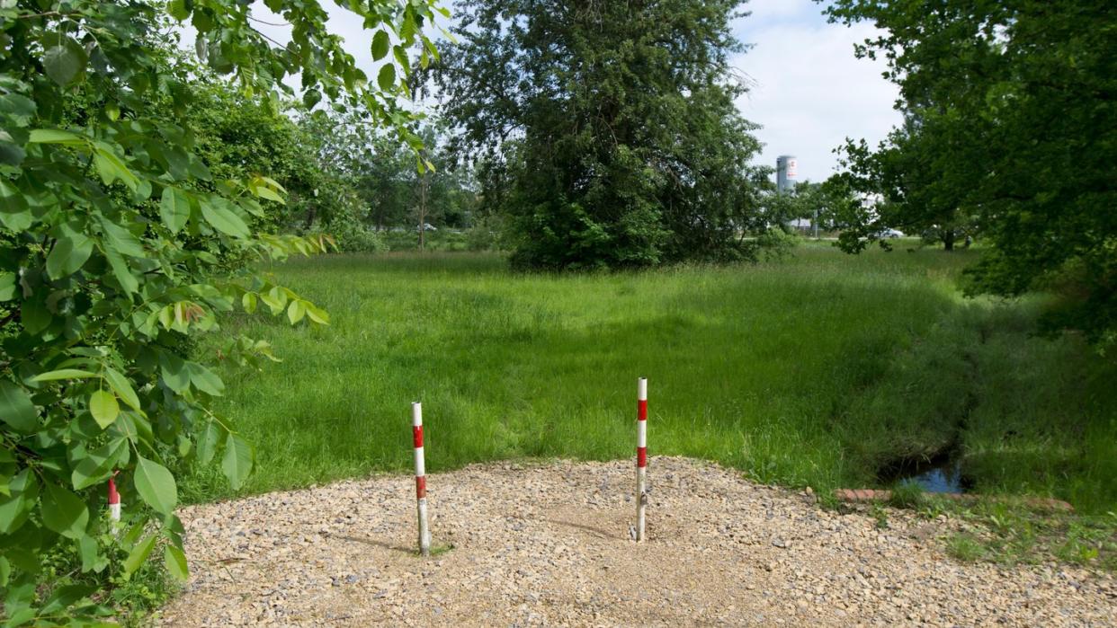 Auf dieser Wiese soll das Baby von einem fremden Hund lebensgefährlich verletzt worden sein - doch die Polizei nennt diese Version «erlogen». Foto: Philipp Hülsmann