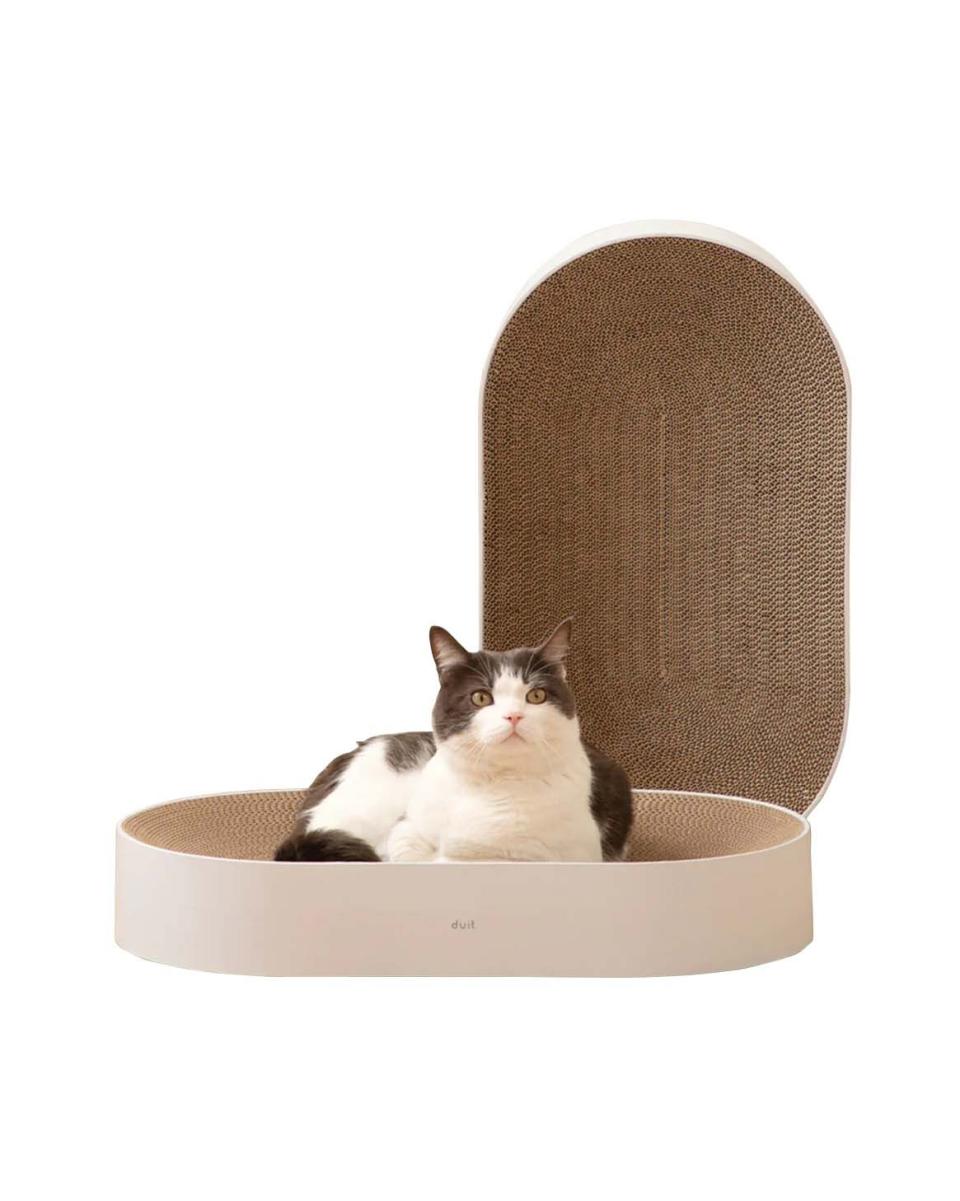 <p><a href="https://petssogood.com/collections/new-item/products/all-day-cat-scratcher" rel="nofollow noopener" target="_blank" data-ylk="slk:Shop Now;elm:context_link;itc:0;sec:content-canvas" class="link ">Shop Now</a></p><p>All Day Cat Scratcher</p><p>petssogood.com</p><p>$59.00</p>