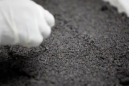 An employee uses tweezers to sort through caviar on the processing line at the Acipenser fish farm in Ambatolaona