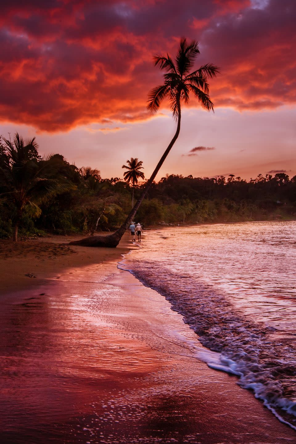 Bahia Drake — Costa Rica