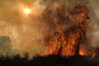 The Silverado Fire burns along the 241 State Highway Monday, Oct. 26, 2020, in Irvine, Calif. A fast-moving wildfire forced evacuation orders for 60,000 people in Southern California on Monday as powerful winds across the state prompted power to be cut to hundreds of thousands to prevent utility equipment from sparking new blazes. (AP Photo/Jae C. Hong)