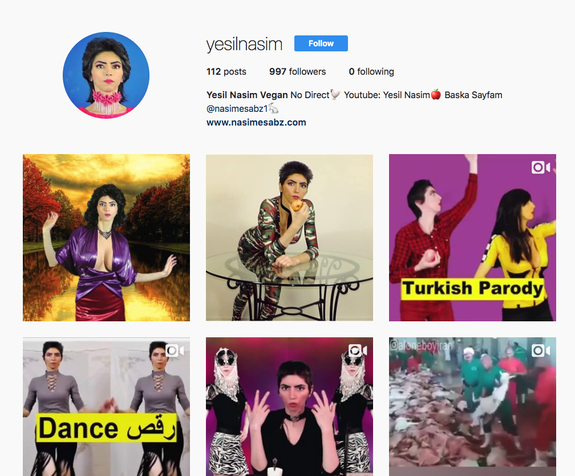 Nasim Aghdam's deactivated Instagram profile.