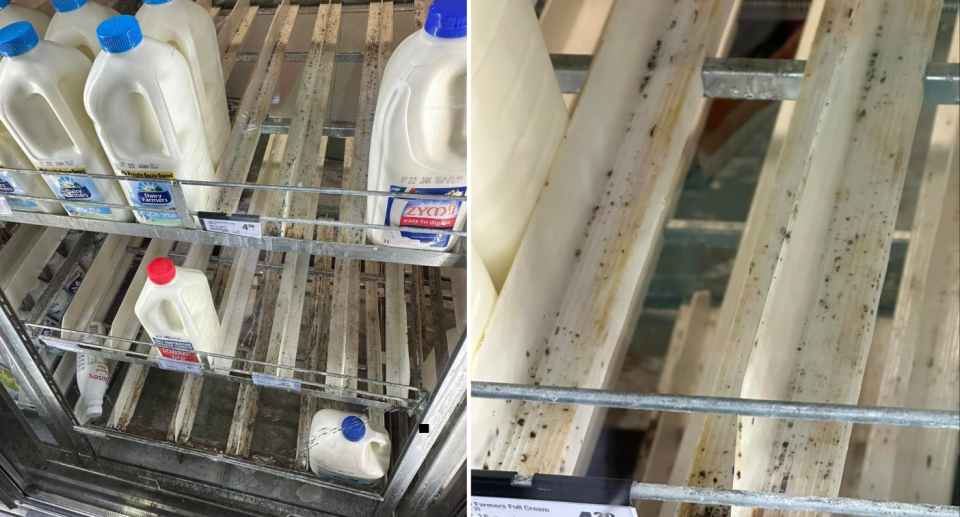 Photos of the dairy fridge in Woolworths Rozelle which shows spots of dark mould growing inside. 