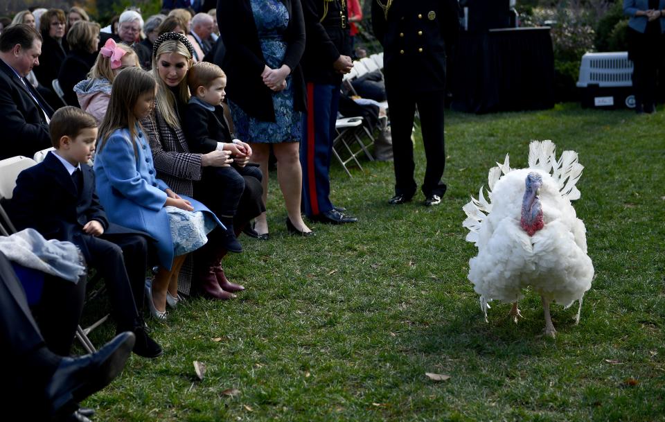 Ivanka Trump and her children attend President Trump’s pardoning of the turkeys annual ceremony at the White House in Washington, D.C., on Nov. 20, 2018. (Photo: Brendan Smialowski/AFP/Getty Images)