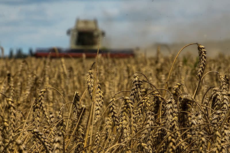 FILE PHOTO: Wheat harvesting in Kyiv region amid Russia's attack on Ukraine