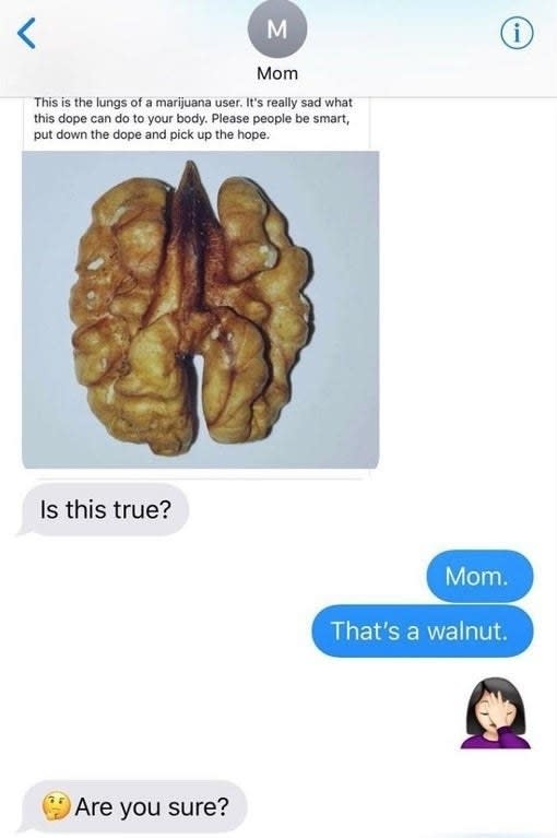 text where a mom sends a joke meme about marijuana filled lungs but it's actually a walnut