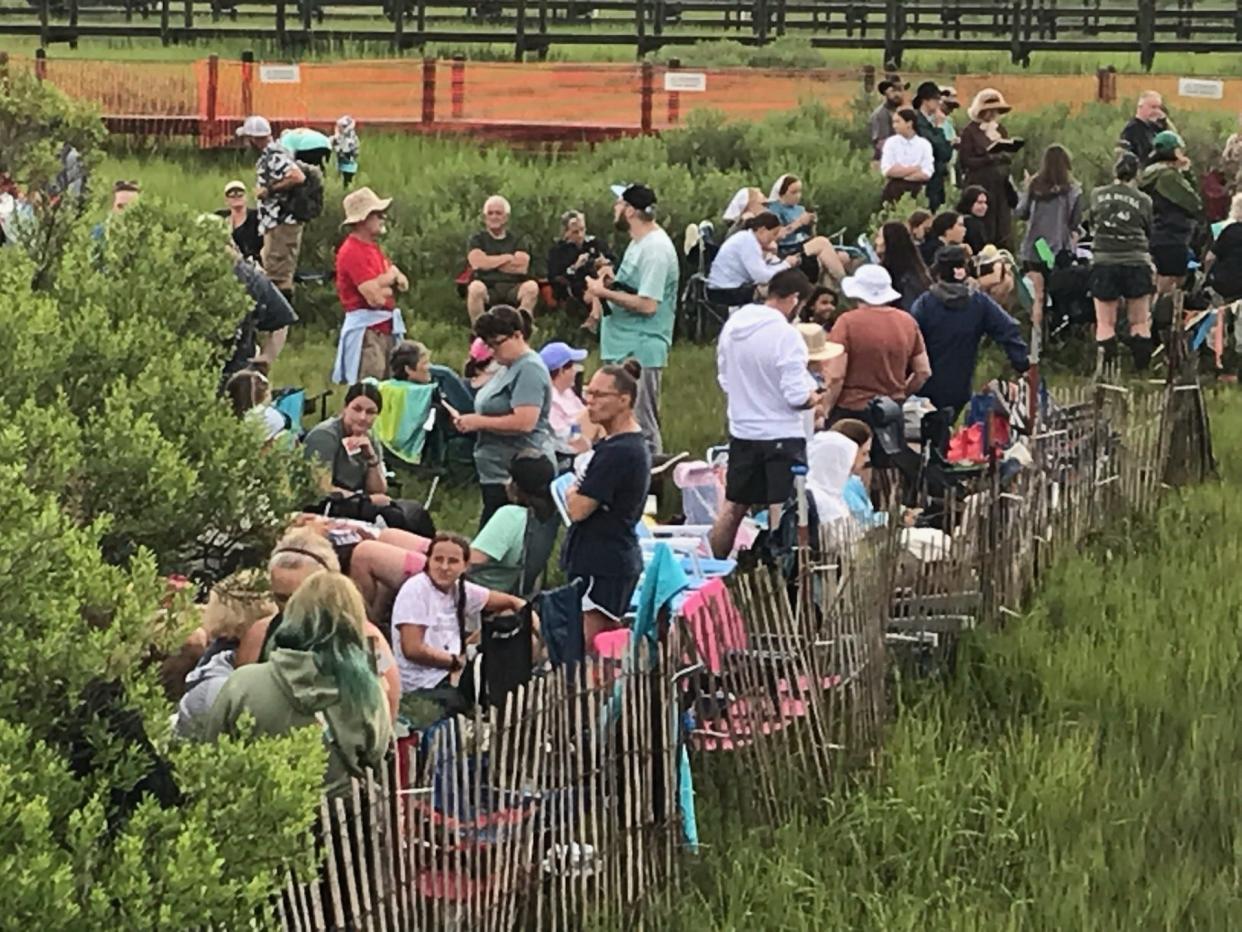 A huge crowd turned out early in anticipation of the 2024 Chincoteague Pony Swim.