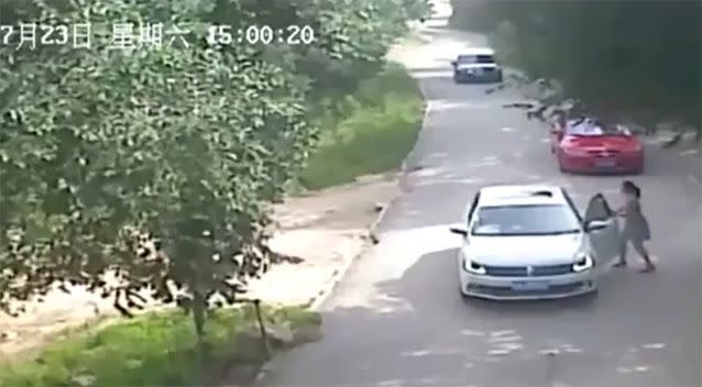 The daughter can be seen stepping out of the car in Badaling Wildlife World. Source: LiveLeak