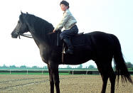 <a href="http://movies.yahoo.com/movie/1800037537/info" data-ylk="slk:The Black Stallion;elm:context_link;itc:0;sec:content-canvas" class="link ">The Black Stallion</a> (1979): It's scary and thrilling, amusing and inspirational -- which means it has all the ingredients for a perfect family film. And that Arabian horse creates such a striking figure, you can't help but be in awe of its majesty. The gorgeous cinematography from Caleb Deschanel certainly contributes to the mystical quality of the film, but the fundamental story is what's crucial: that of a bond between a boy and a horse, which is forged spiritually and without unnecessary dialogue. And Mickey Rooney is a hoot as the horse trainer who drives the stallion to greatness, a role that earned him an Oscar nomination for best supporting actor.