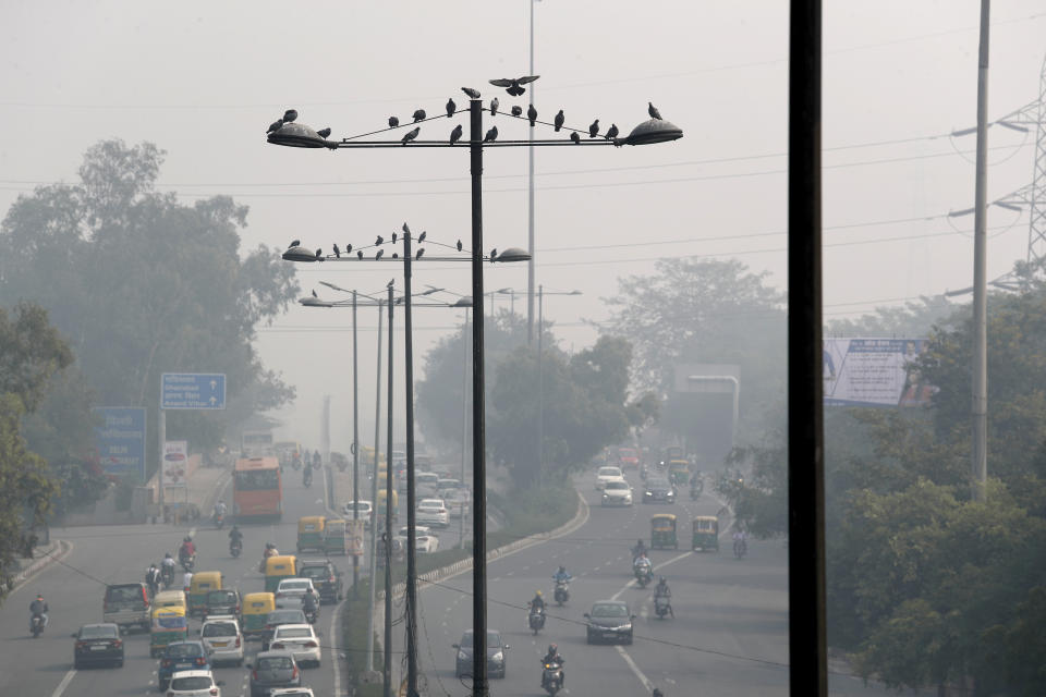 Birds sit on street lights as city enveloped under thick smog in New Delhi, India, Tuesday, Nov. 12, 2019. A thick haze of polluted air is hanging over India's capital, with authorities trying to tackle the problem by sprinkling water to settle dust and banning some construction. The air quality index exceeded 400, about eight times the recommended maximum. (AP Photo/Manish Swarup)