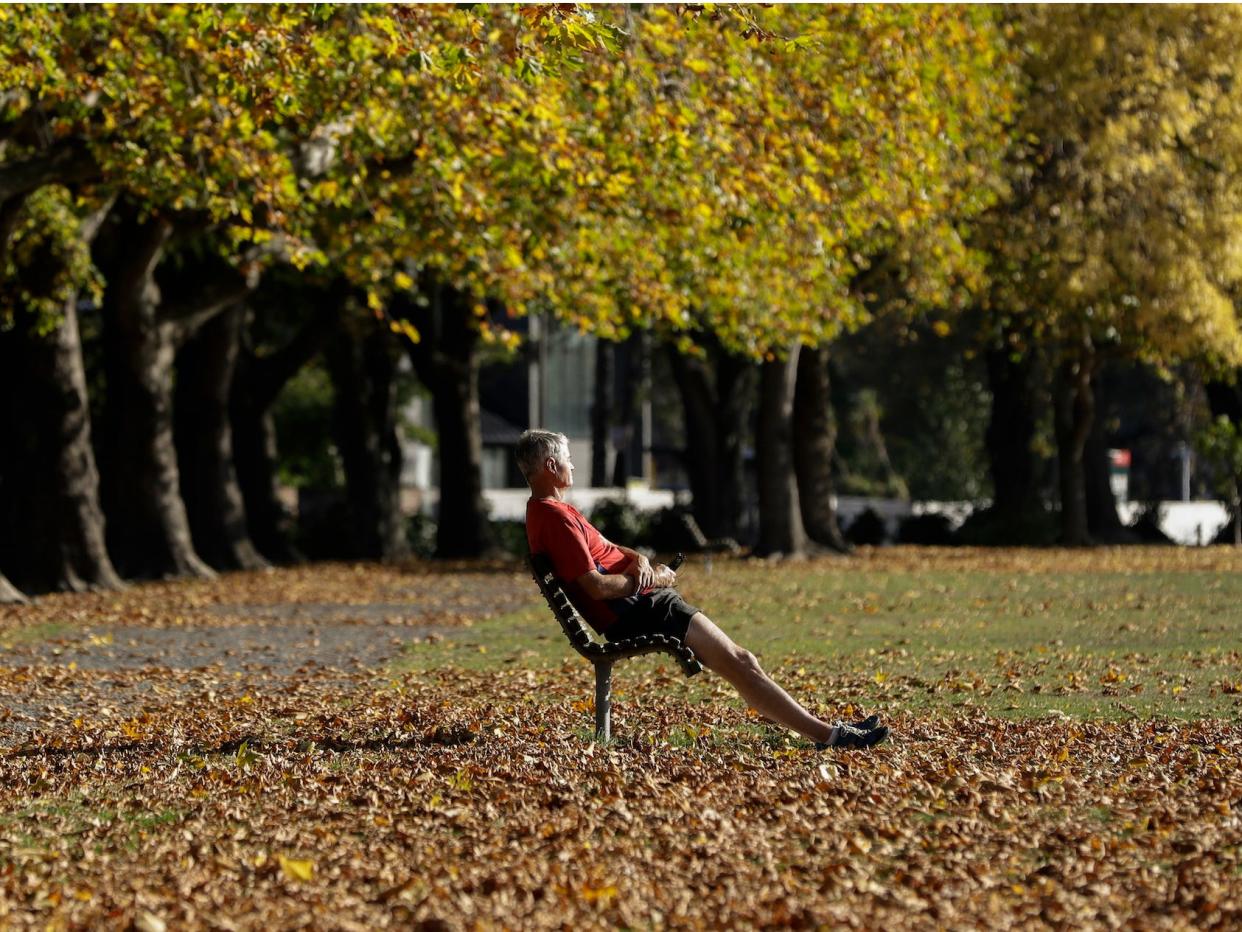 new zealand man autumn