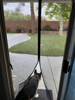 A magnetic screen door with durable polyester mesh fabric
