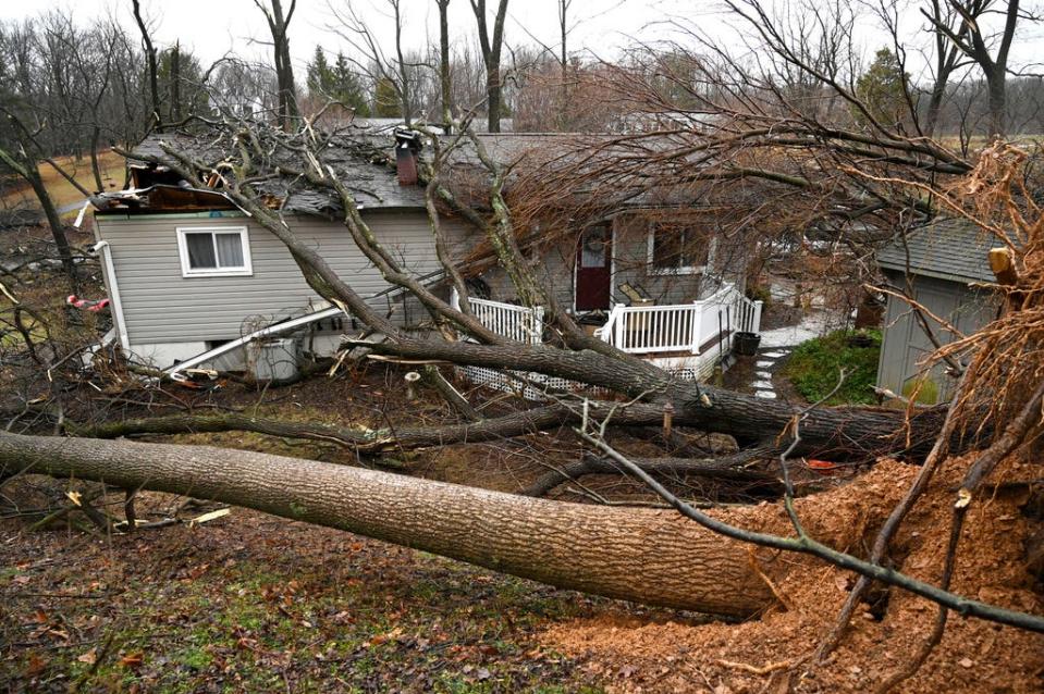 Several trees fell on a home and property on Overbrook Drive in New Windsor, Md., Friday, Feb. 7, 2020, following a winter storm.