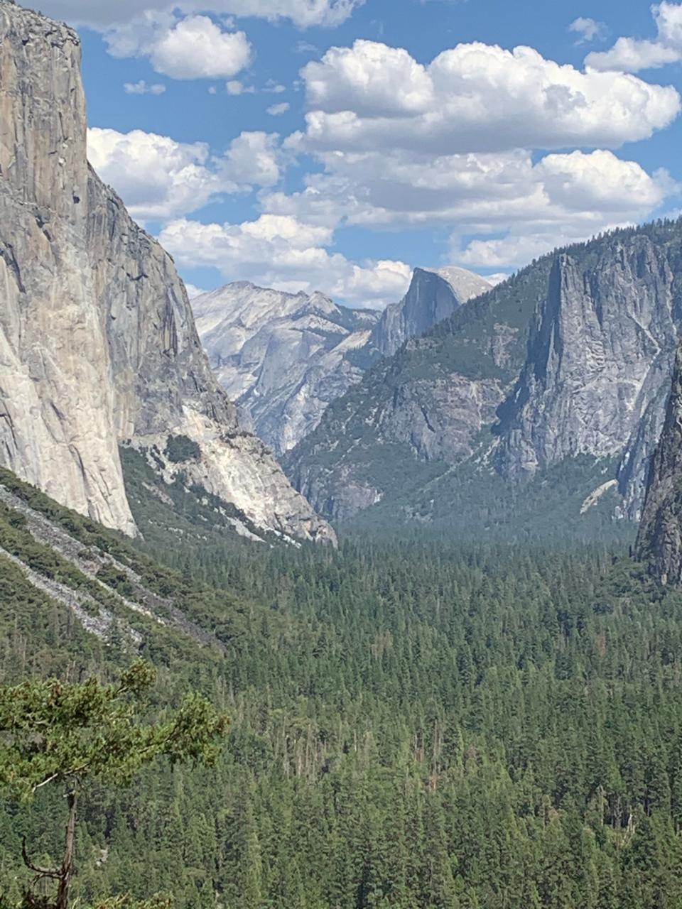 Yosemite Valley, August 18, 2022.