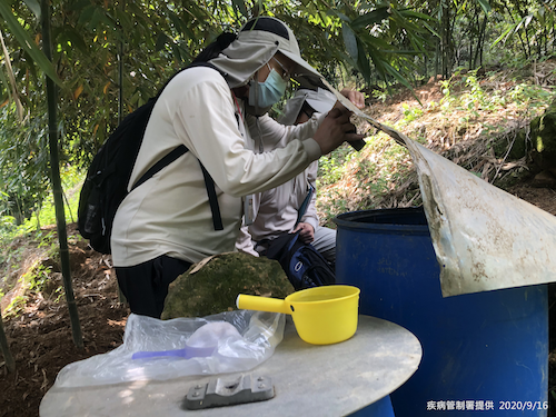 疾管署防疫人員前往新北市三峽區五寮尖山菜園進行孳生源查核。   圖：疾管署/提供