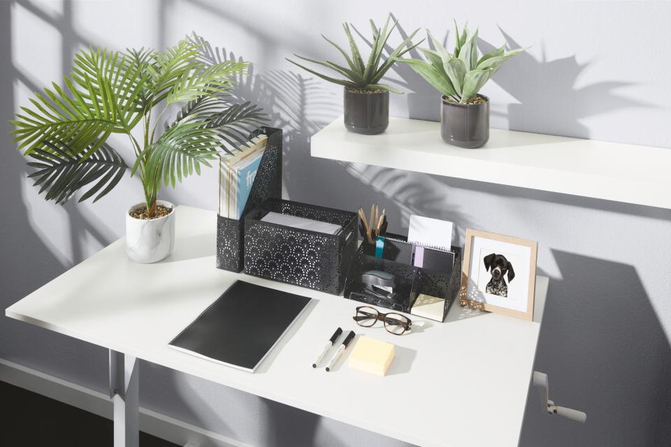 A working from home desk set-up from Aldi including a white standup desk with stationary and potted plant against a grey wall.