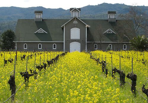 8) Corison Winery: St. Helena