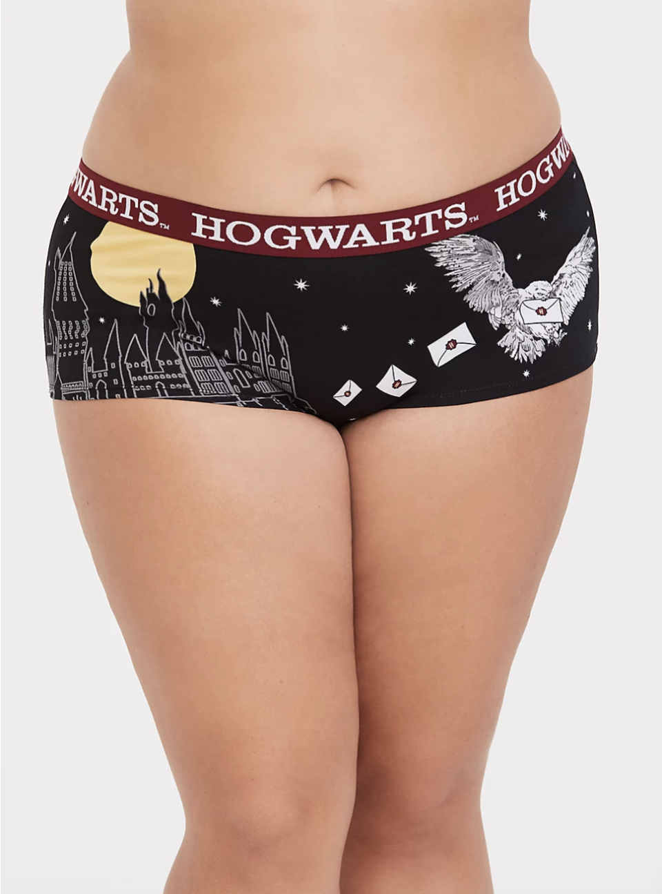 Keep your alma mater your little secret with these undies. (Credit: Torrid)