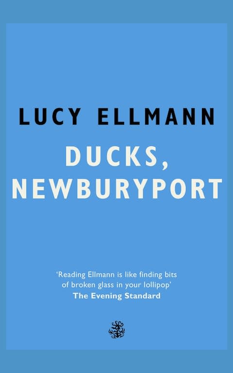  Ducks, Newburyport by Lucy Ellmann  - Credit: PA