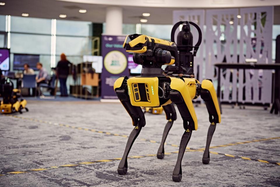 Teams of expert coders used their skills to discover what capabilities state-of-the-art robotic dogs could offer the British Army. (MOD/PA)