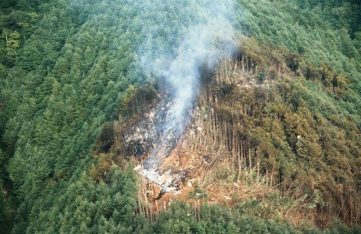 日本航空撞山。（圖／翻攝自維基百科）