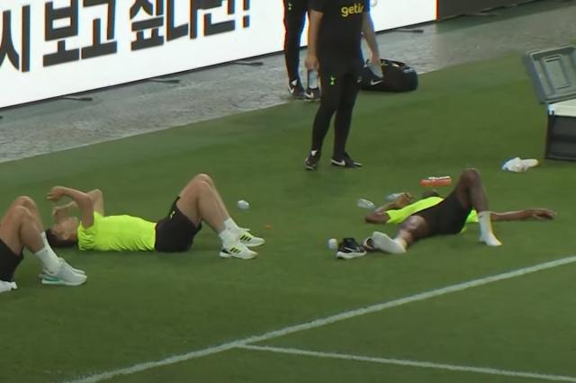 Tottenham's Mousa Dembélé endures another injury setback in training, Tottenham Hotspur