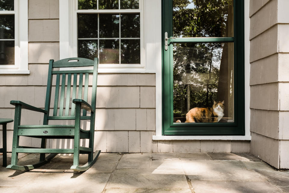 Calico cat looking out the door of a residential home.