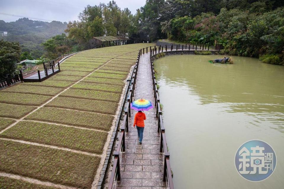 平坦好走的「樟樹步道」，充滿田園景觀。