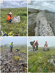 Figure 5: Geologists examining pegmatites and gossan zones. (a) Azincourt VP Exploration sampling pegmatite, (b) geologists examining long narrow pegmatite, (c) geologist on gossan zone in felsic dike, and (d) geologists and prospectors discussing local lithologies.