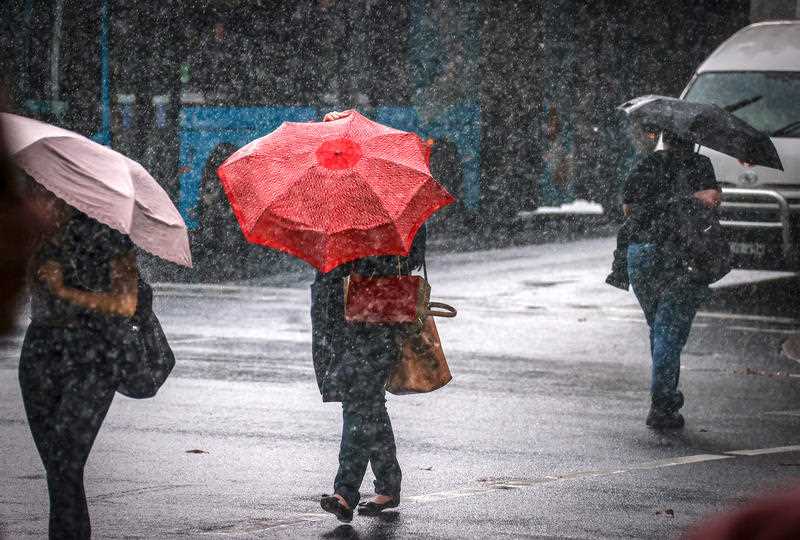 Pedestrians walk across a main road holding umbrellas during wet weather in the centre of Sydney.