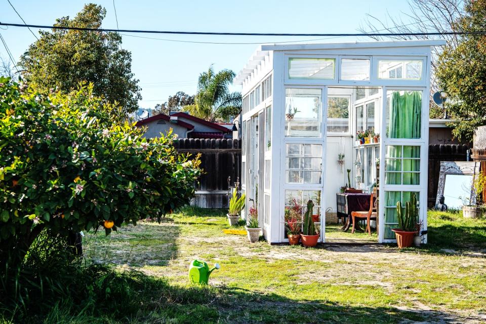 A rectangular greenhouse with a slightly slanted roof built of discarded windows and doors in a garden.