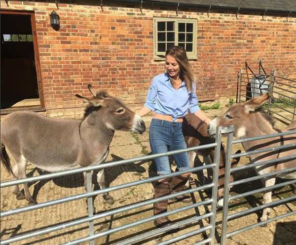 geri horner home donkeys z