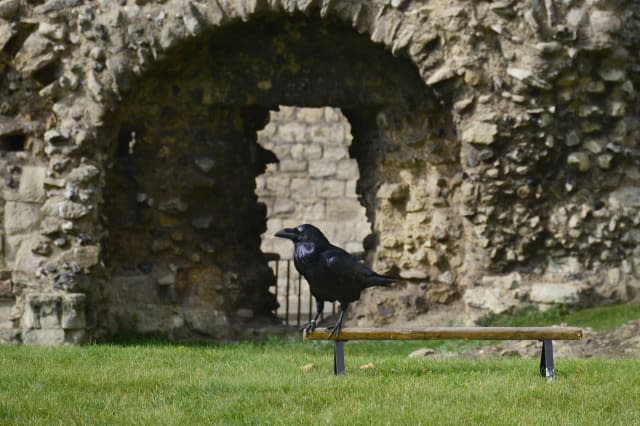 Tower of London