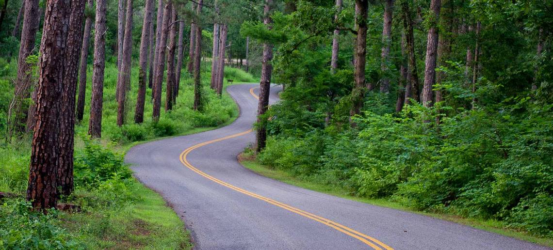 In Tyler, explore the Pineywoods on more than 13 miles of trails.