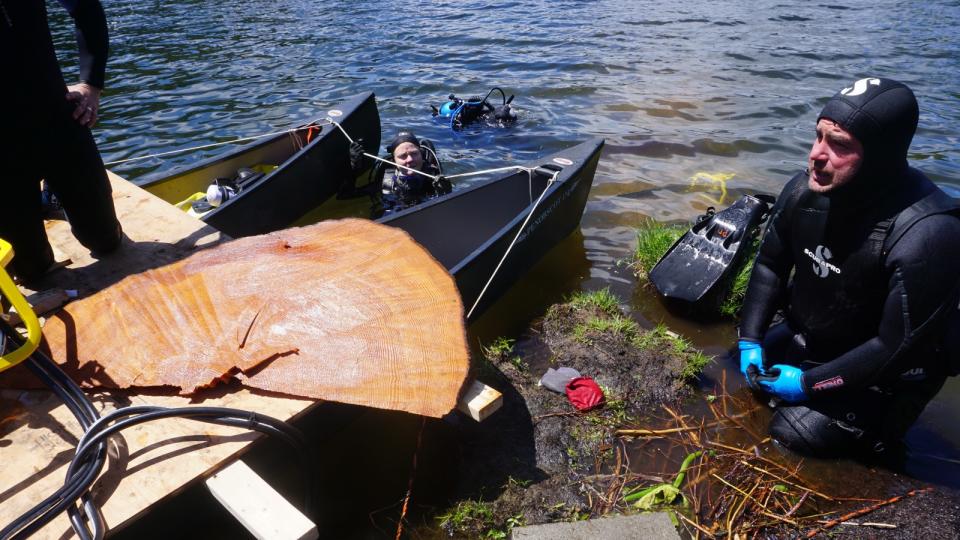 Scuba divers pull up a fossilized tree stump from a lake bed