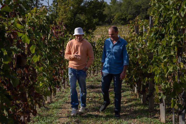 <p>Fleur de Miraval</p> Brad Pitt walking through a vineyard