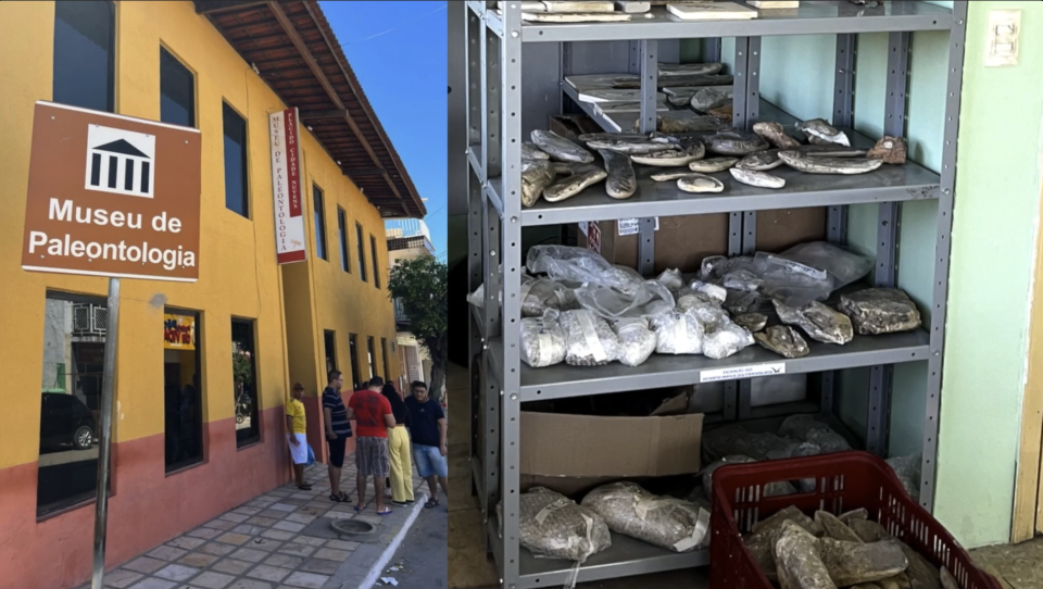 Split panel view of the Paleontology Museum in Brazil. Left: exterior, right: shelf of fossils inside.