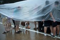 <p>Evacuation residents from the Meyerland wait on an I-610 overpass for further help during the aftermath of Hurricane Harvey Aug. 27, 2017 in Houston, Texas. (Photo: Brendan Smialowski/AFP/Getty Images) </p>