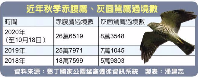 近年秋季赤腹鷹、灰面鵟鷹過境數