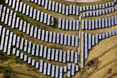 An array of solar panels are seen in Oakland, California, U.S. on December 4, 2016. REUTERS/Lucy Nicholson/File Photo